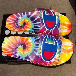 Rainbow Champion slides
